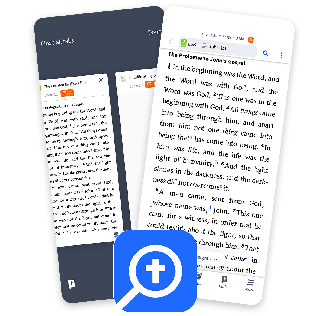 LI (1) Logos Screenshots