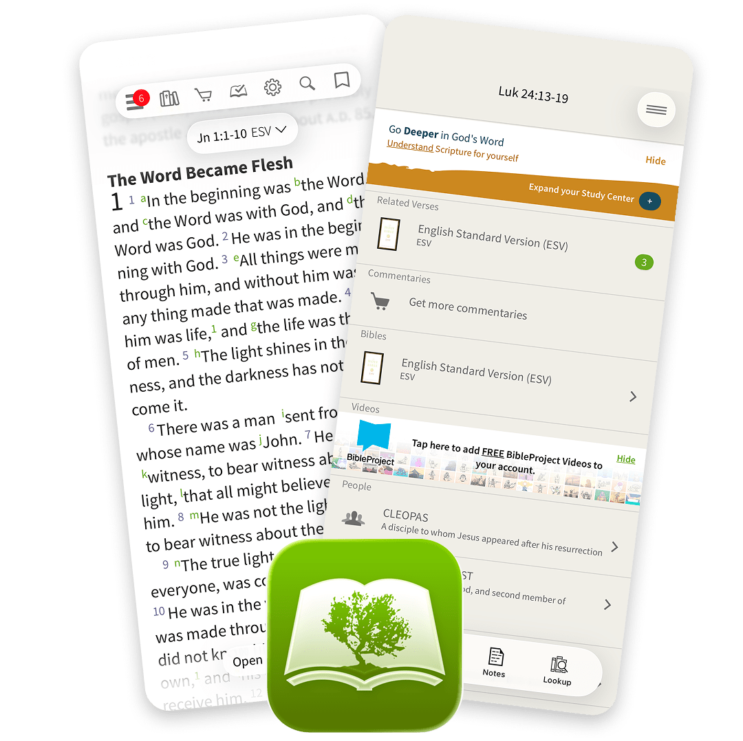 OTI (1) Olive Tree app Screenshots