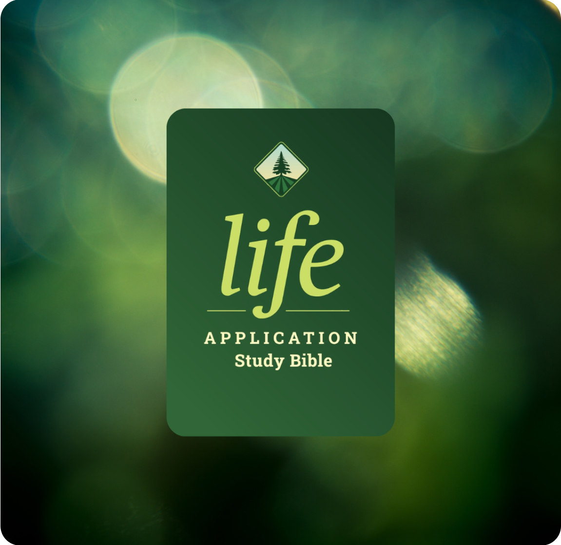 Life Application Study Bible