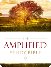 AMP Study Bible